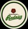 Radnice