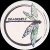 příloha - Brno Dragonfly